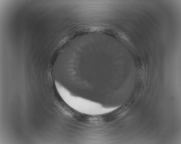 X0000063440415200602101627