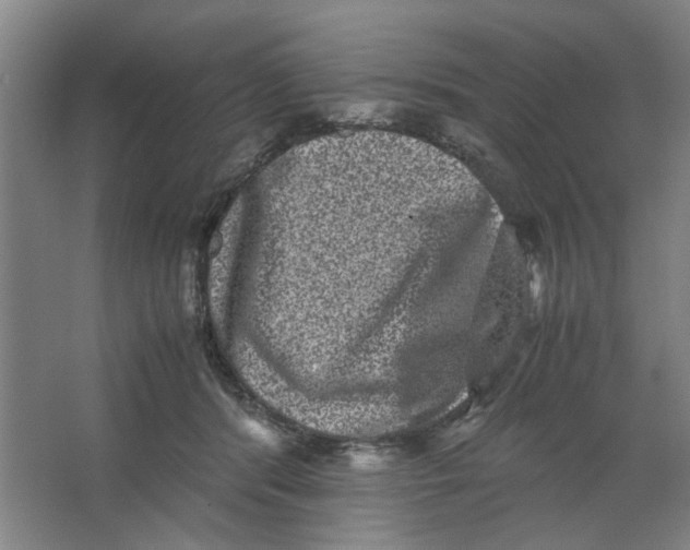 X0000063440416200602101627