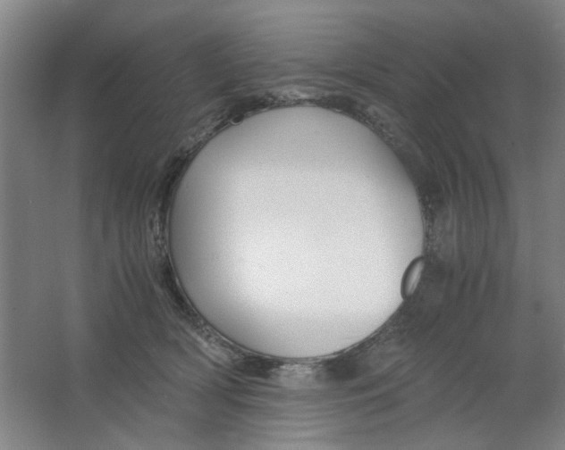 X0000063440418200602101627