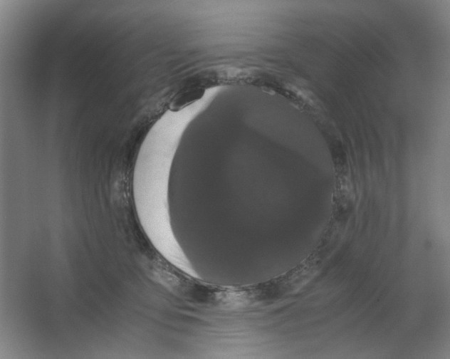 X0000063440419200602101627