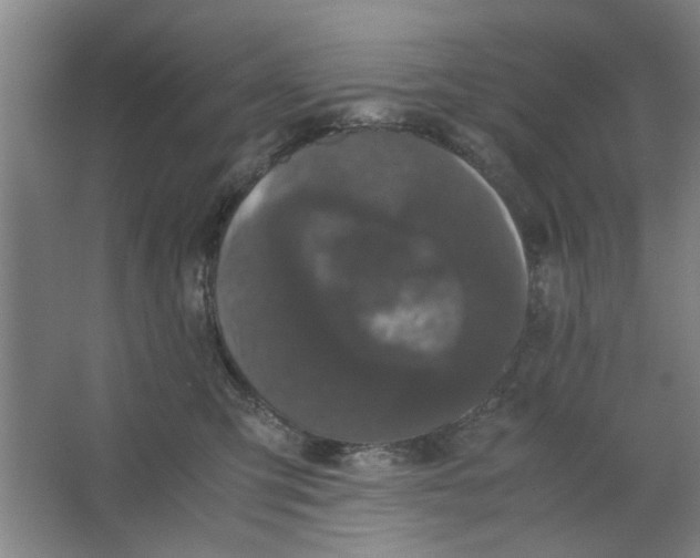 X0000063440423200602101627