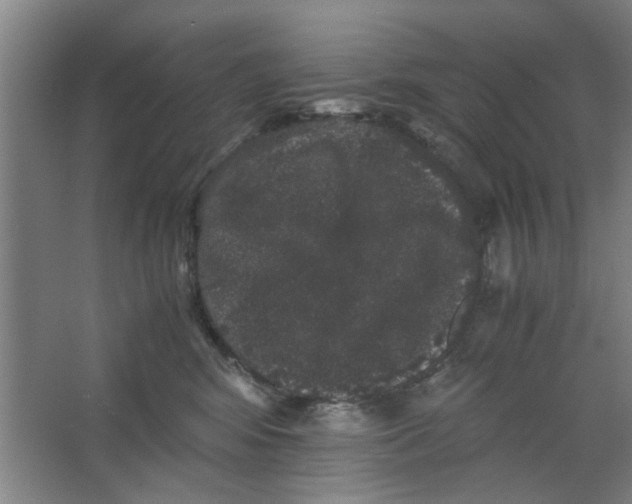 X0000063440424200602101627