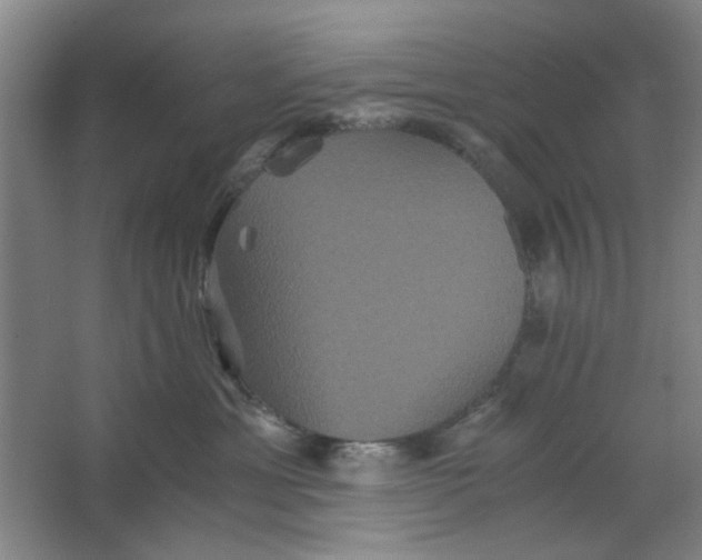 X0000063440429200602101627