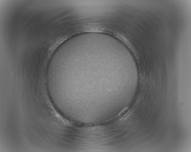 X0000063440433200602101626
