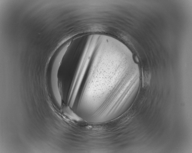 X0000063440435200602101626