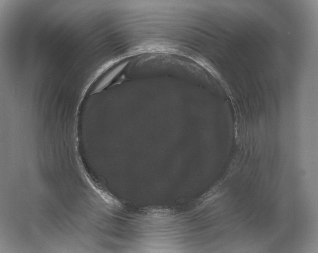 X0000063440438200602101626