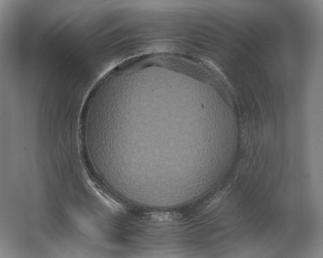 X0000063440439200602101626