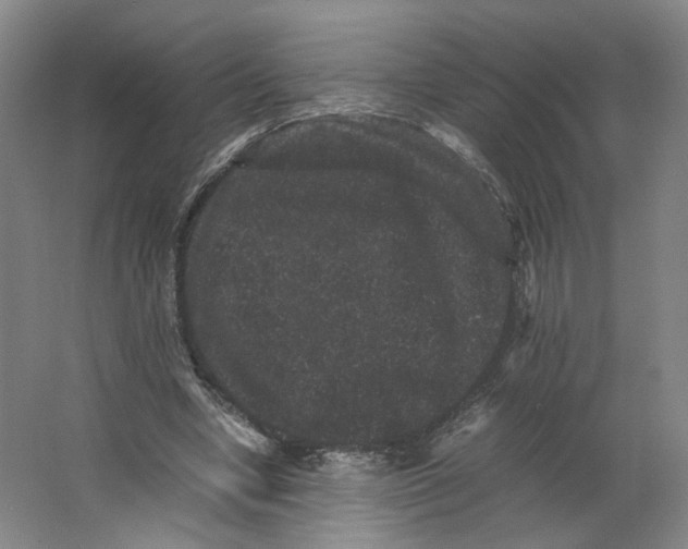 X0000063440442200602101626
