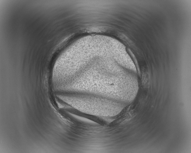 X0000063440444200602101626