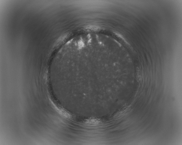X0000063440451200602101627