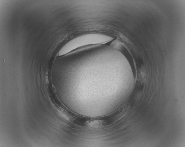 X0000063440452200602101627
