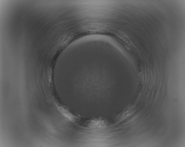 X0000063440458200602101627