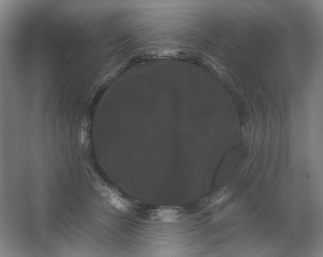 X0000063440462200602101627