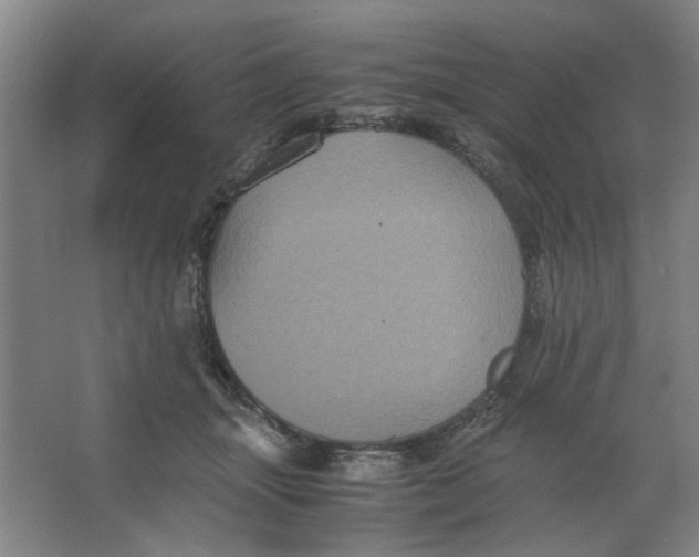 X0000063440463200602101627