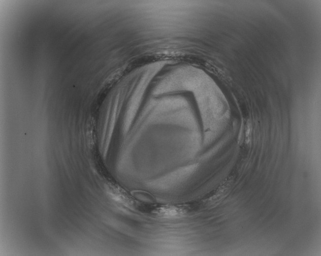 X0000063440464200602101627