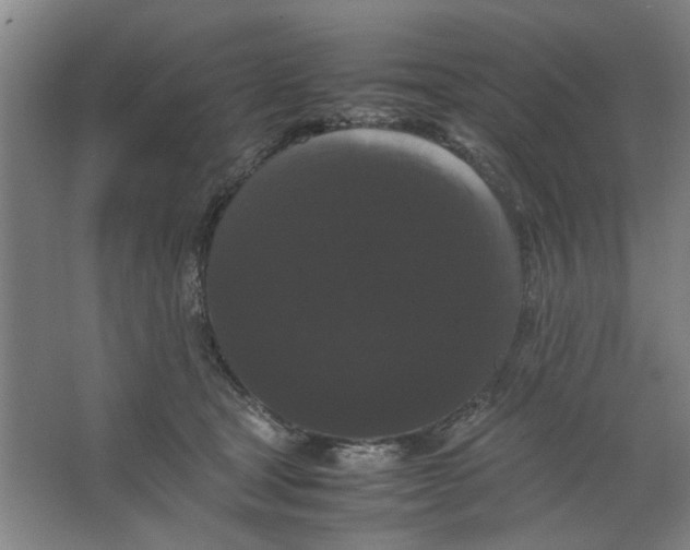 X0000063440465200602101627