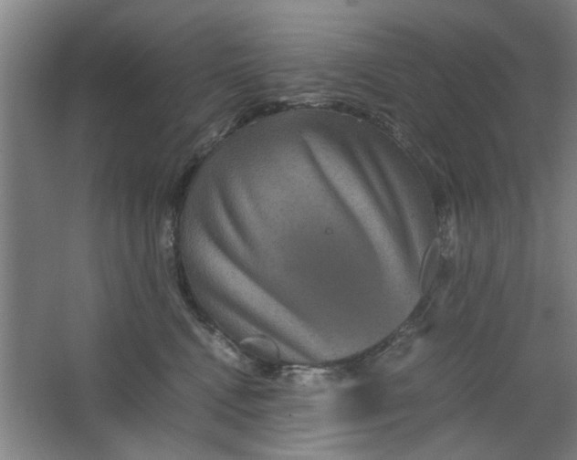 X0000063440472200602101627