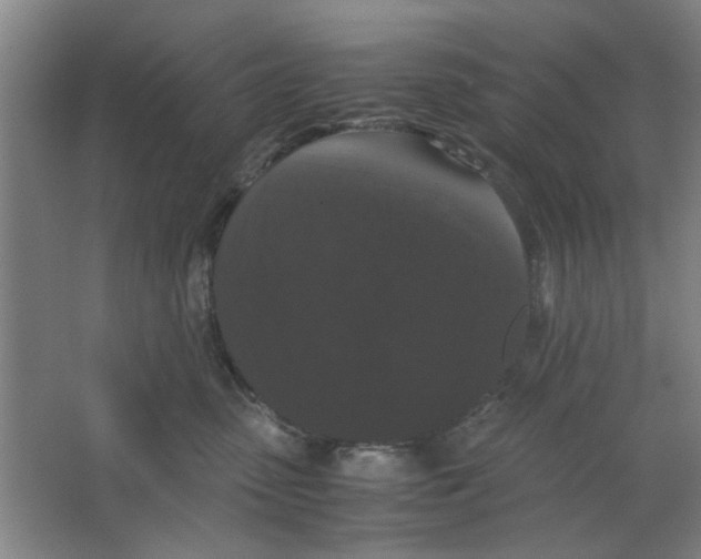 X0000063440475200602101627