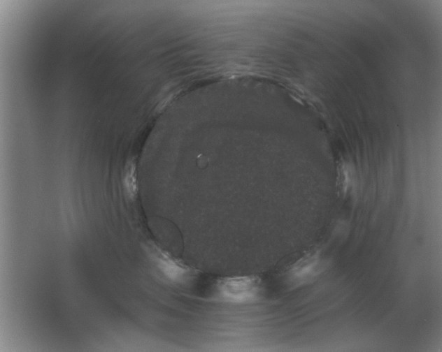 X0000063440479200602101627