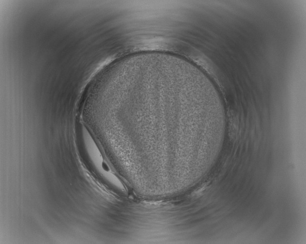 X0000063440482200602101626