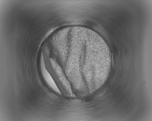 X0000063440483200602101626