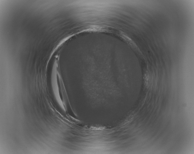 X0000063440484200602101626