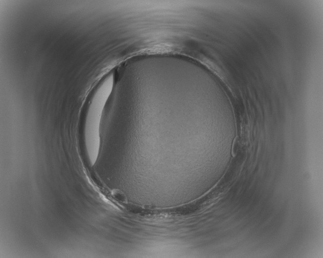 X0000063440485200602101626