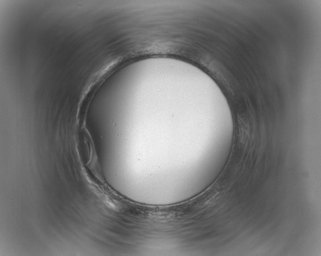 X0000063440486200602101626
