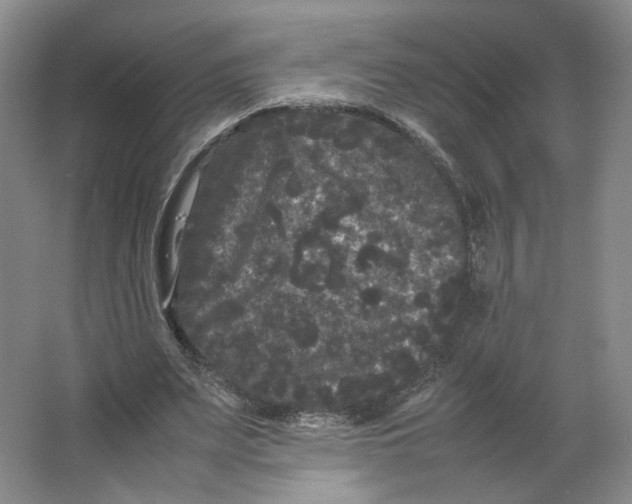 X0000063440487200602101626