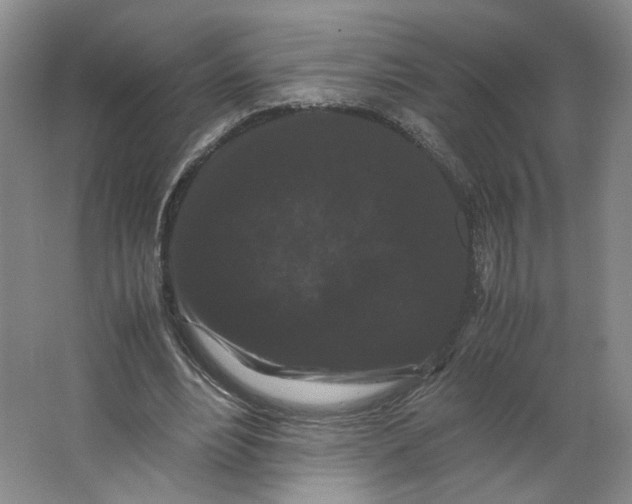 X0000063440488200602101626
