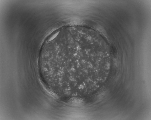 X0000063440491200602101626
