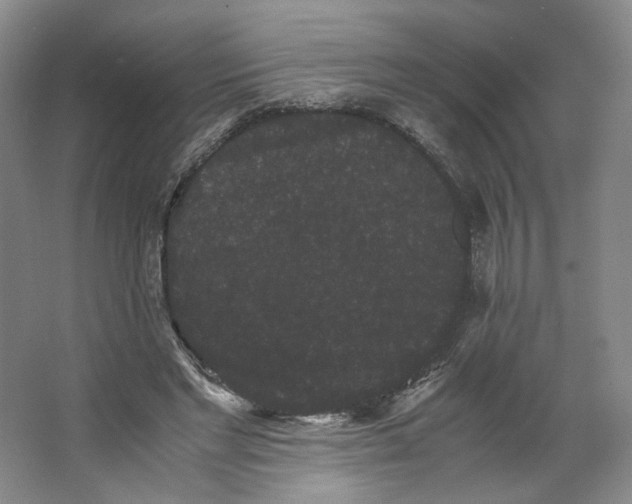 X0000063440493200602101626