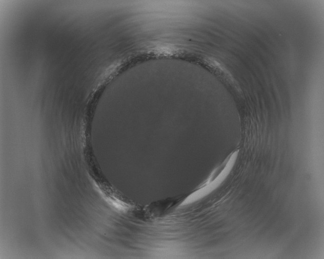 X0000063440496200602101626