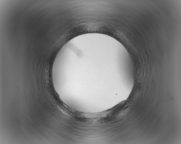X0000063440497200602101626
