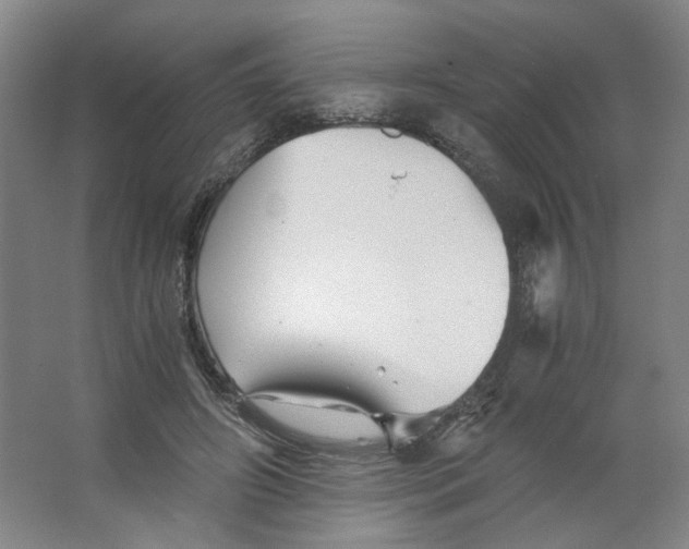 X0000063440498200602101626