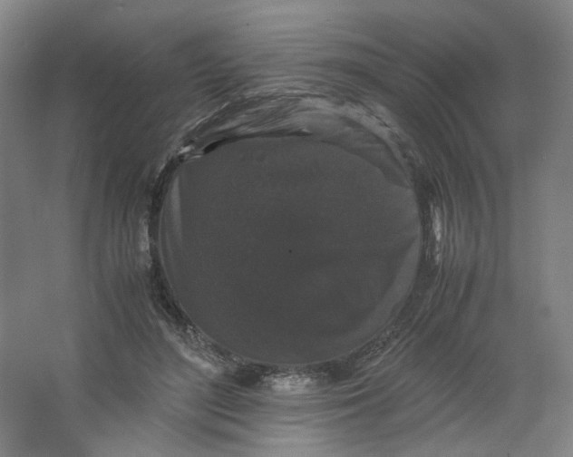 X0000063440500200602101626