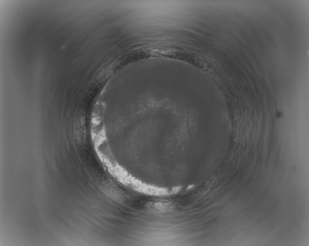 X0000063440506200602101626