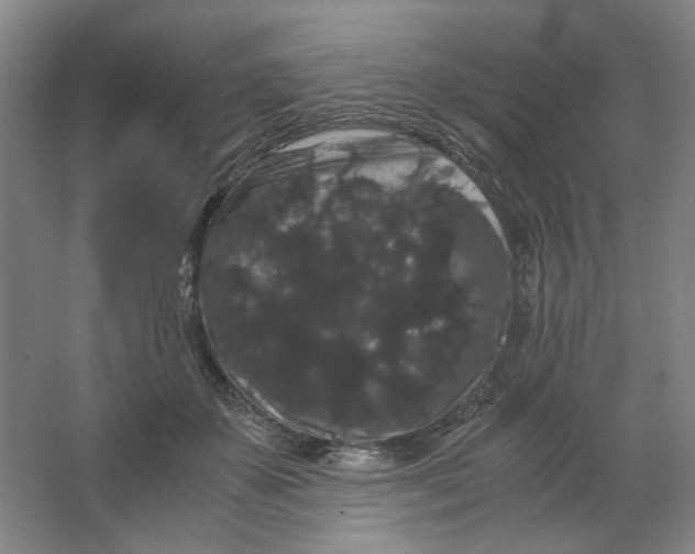 X0000063440507200602101626