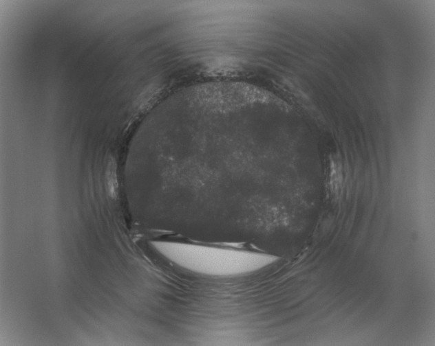 X0000063440508200602101626