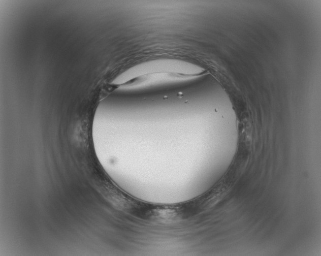 X0000063440509200602101626