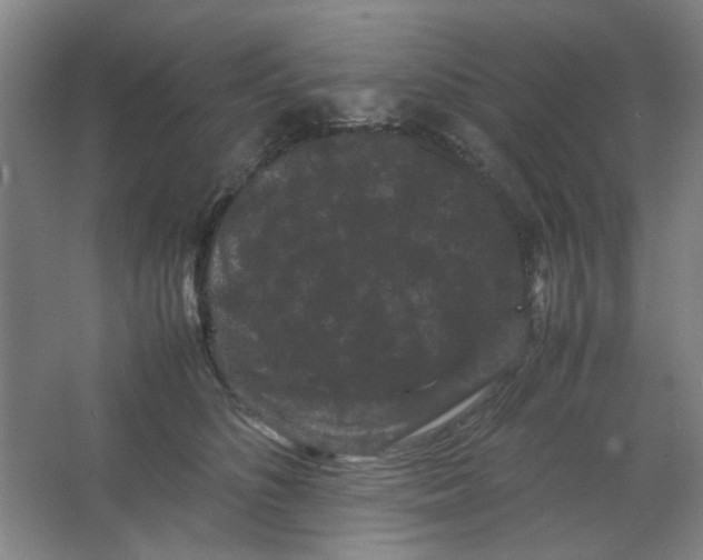 X0000063440516200602101626
