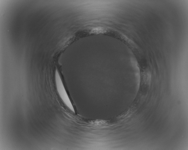 X0000063440517200602101626