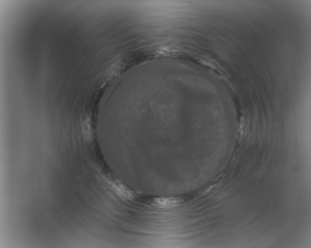 X0000063440520200602101626