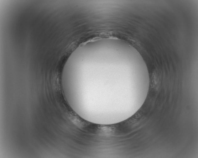 X0000063440522200602101625