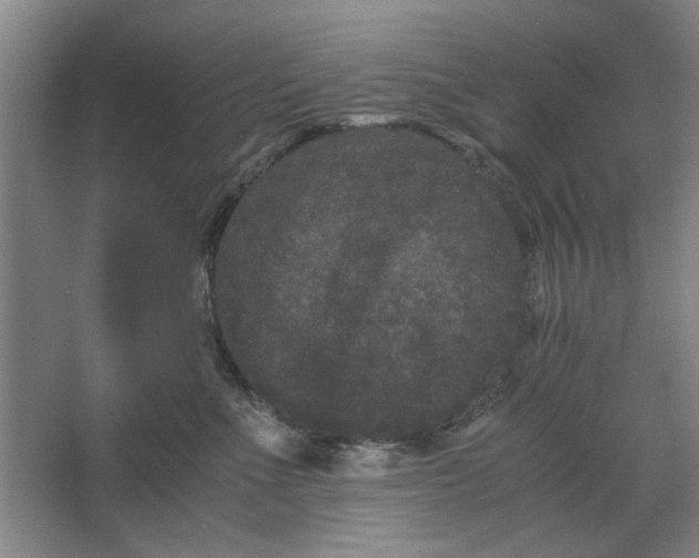 X0000063440523200602101625