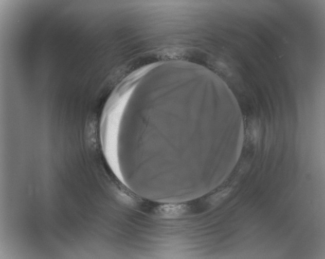 X0000063440526200602101625