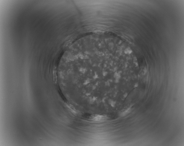 X0000063440527200602101625