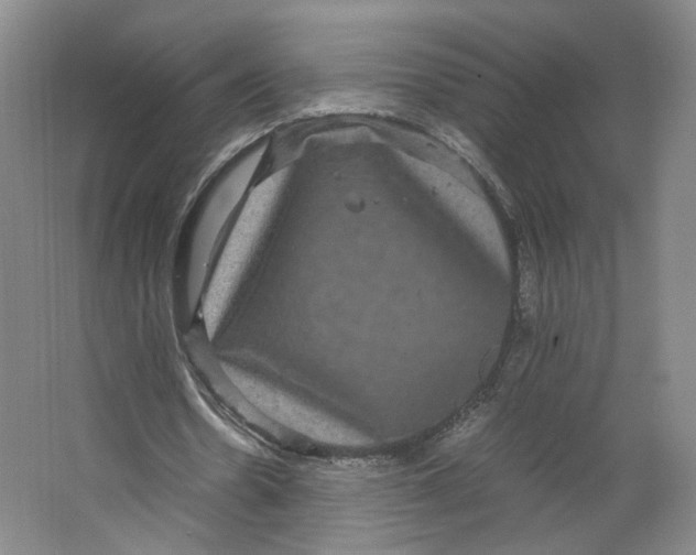 X0000063440530200602101625