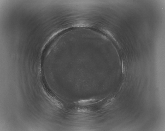 X0000063440531200602101625