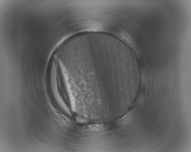 X0000063440532200602101625